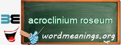 WordMeaning blackboard for acroclinium roseum